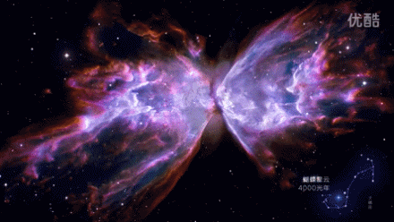 440_248gif 动态图 动图