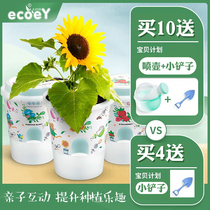 Children Plane small potted vegetable Vegetable Fruit Strawberry Suit Nursery Observation Plant Growth 2 Year Old Female Baby DIY