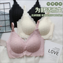 Bubble lace beauty back underwear womens small breasts gather without steel ring on the collection of secondary milk vest style bra thin without trace