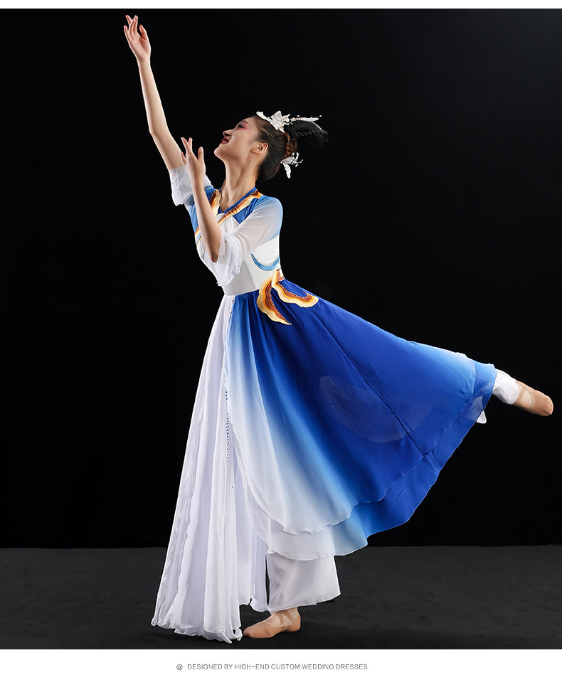 古典舞演出服女飘逸锦瑟舞蹈服装桃李杯风套装表演服独舞长裙