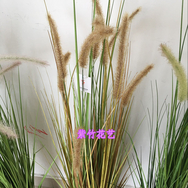 仿真狗尾巴草芦苇草绿植物影楼干花水草落地摆放花艺套装装饰花盆
