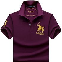 2022 spring summer mens clothing short sleeves T-shirt pure cotton casual Polo shirt for mens turn-collar business with a collar-shirt