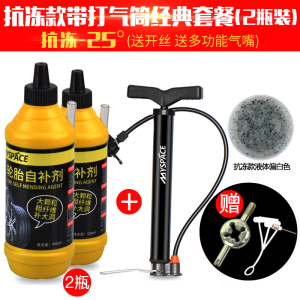 抗冻-25°自补剂2瓶+打气筒送开丝