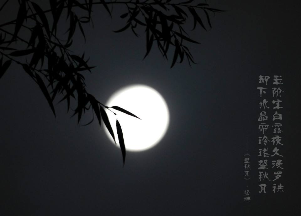 山梁之秋,三五之夜,明月半墙,桂影斑驳,风移影动,珊珊可爱.