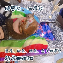 Squirrel black-tailed marmot supplies mat thickened blanket rabbit guinea pig large double coral velvet mat practical