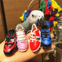 Bird toy black-tailed Groundhog Bite toy parrot nibble mini toy small shoe foot toy bite