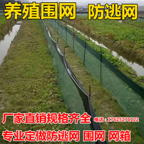 Anti-Escape Nets Crayfish Crab Frog Chia Fish Yellow Eel Farming Anti-Escape Nets Fishpond Thickened Plastic Enclosure Anti-Run Net