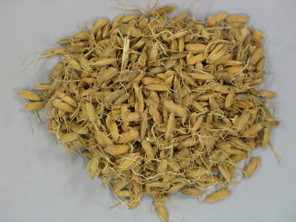 康美药业药食同源药材 稻芽 谷芽 广东产 一等品 小包装 250克_7折