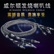 Wilton 7N monocrystalline copper silver banana head silver - plated fever horn line HiFi main speaker wire power amplifi connection