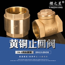 Fully copper bedridden check valve water scale upside valve spring one-way valve 4 minutes 6 minutes 1 inch 405063