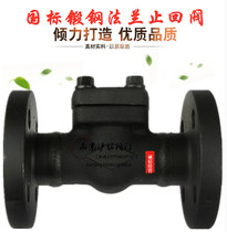Forged steel A105N H41H H44H-10 ~ 40C lifting swing type National Standard flange check valve check valve