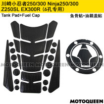 Application of the Promise 300RR Kawasaki EX300R Small Ninja 250300 Motorcycle Z250SL Oil tank Stuck Fish Bone Patch