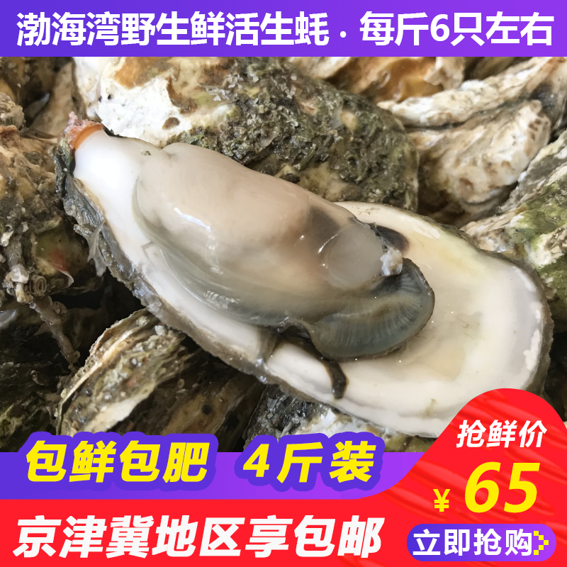 渤海湾秦皇岛野生鲜活即食生蚝海蛎子牡蛎新鲜海产品水产4斤包邮 渤海湾秦皇岛野生鲜活即食生蚝海蛎子牡蛎新鲜海产品水产4斤包邮