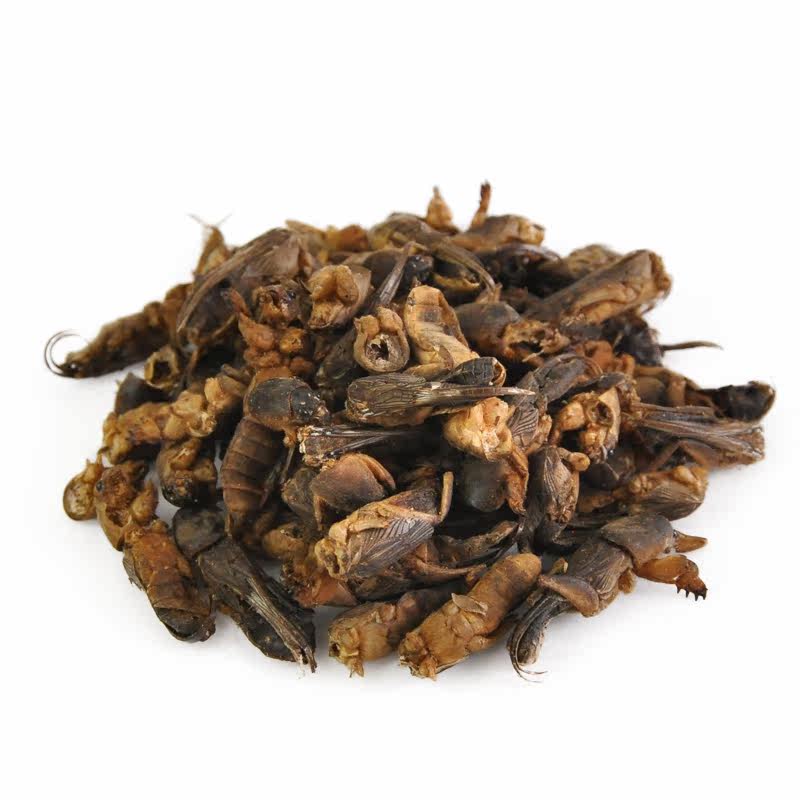 蝼蛄100g河南中药材