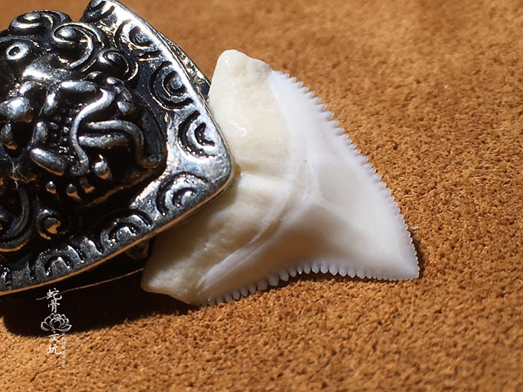 原创天然鲨鱼牙吊坠手工编绳大白鲨牙齿项链男女情侣文玩吊坠包邮