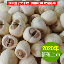 2020 Jiangxi Guangchang has core grade lotus seed Stone City farmhouse lotus rice dry goods 500g powder glutinous white lotus