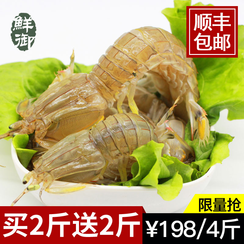 鲜御 鲜活皮皮虾 爬虾现捞现发 烟台海鲜水产 2斤送2斤 鲜御 鲜活皮皮虾 爬虾现捞现发 烟台海鲜水产 2斤送2斤