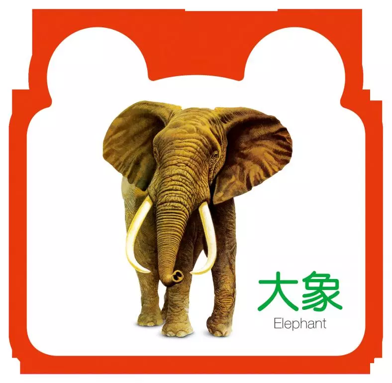 0-1-2-3岁幼儿童书启蒙早教书婴儿看图认识动物卡片大卡认知挂图儿童