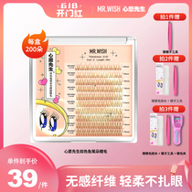 Mr. Wish wish to graft false eyelash C teething brown fish tail wool single tumuli natural simulation