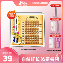Mr. Wish wish Mr. Caramel brown A type of mascara female false eyelash fairy single tumuli natural emulation