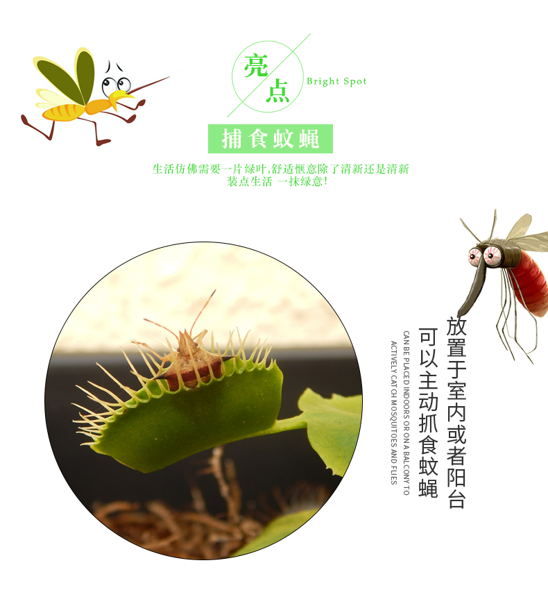 gm6WifKnzdTvlDvRUnfUc36ule1Oc/ejnwVe