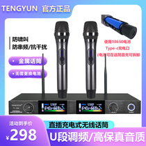 U-segment charging professional one-drag two wireless microphone home singing KTV professional karaok tsunami call microphone