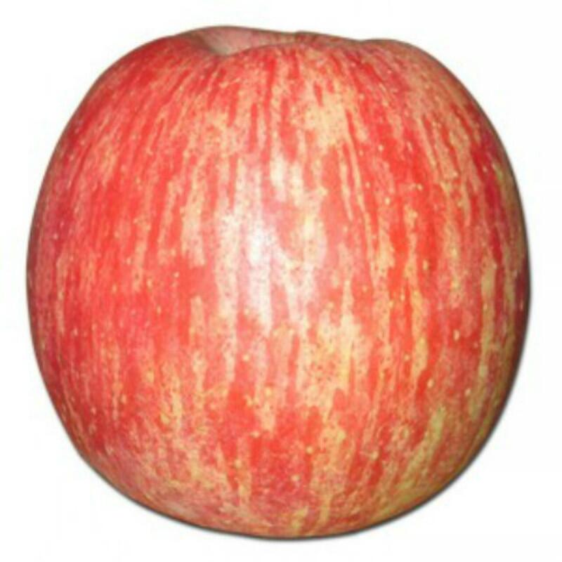 新鲜苹果水果超大陕西洛川红富士脆甜10斤批发一箱平果无蜡包邮95