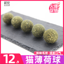 Cat snacks cat mint ball 5 only Stick Candy candy Supplies cat candy teasing cat sticks wood Sky Tooth Stick