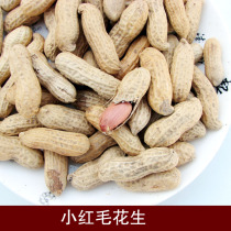 21 New goods small red hair peanut snacks nuts fried goods with Shell bulk peanut fried small Jingsheng salty taste