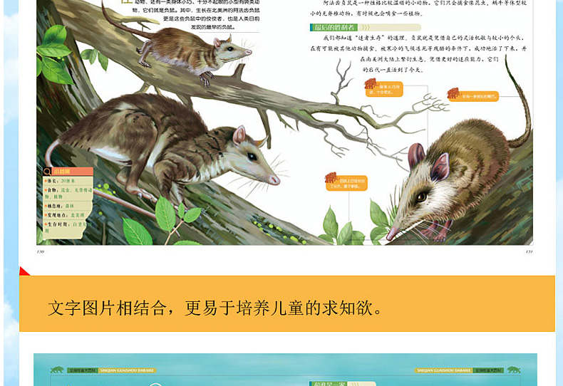 史前怪兽大百科(学生成长必读)彩书坊少幼儿童自然科普启蒙动物绘本