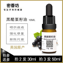 British organic black currant seed oil sunburn sensitive repair aging skin suitable for tender and moisturizing anti-aging vegetable oil
