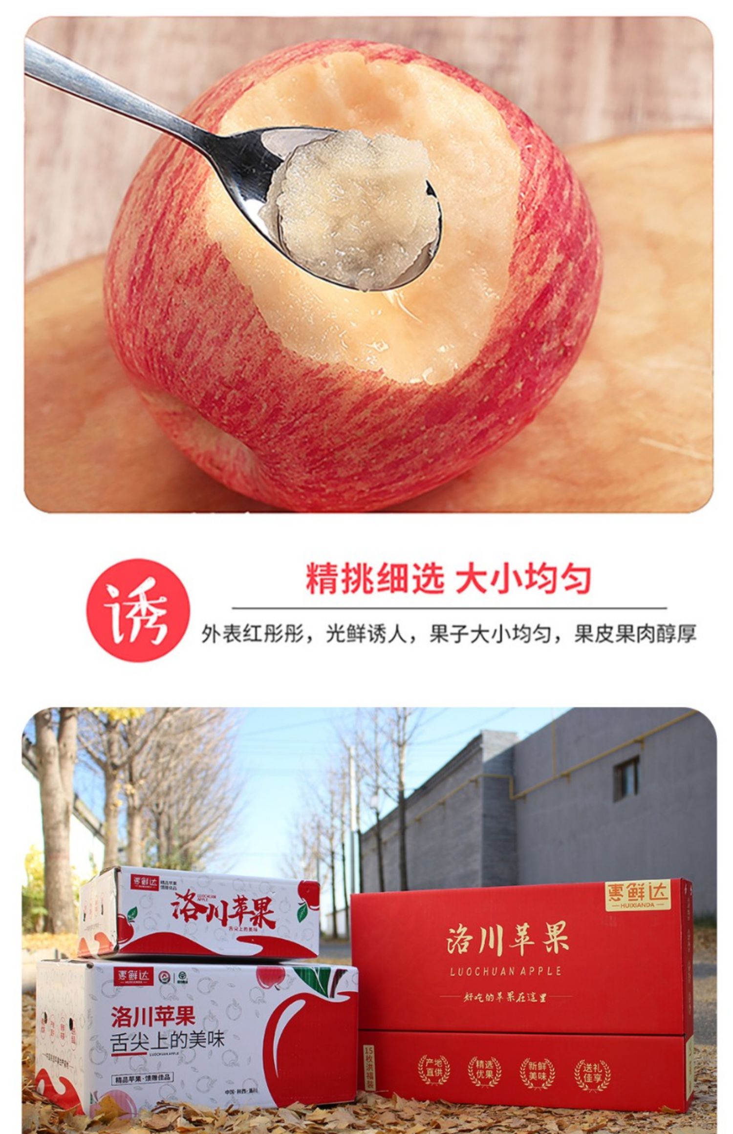 正宗洛川陕西红富士苹果