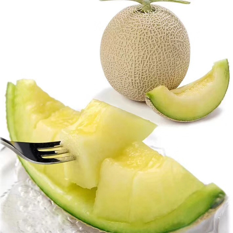 日本静冈夕张东陵蜜瓜2只装 口感爆甜 白雪口口蜜瓜 多省包邮_7折现价