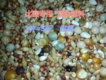 A level to clear pigeons pigeons pigeons pigeons food health sand no peas sorghum wheat 5kg