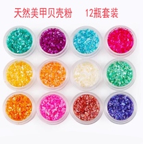 Mechia Ornaments Natural Shells Phototherapy Crystal Nail Polish Glue DIY Decorations Shell Powder 12 Color Suit Wholesale
