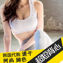 BARREL Korea Korean version of solid color fitness gathering shock-proof swimming quick-drying sports underwear female Xia Xin