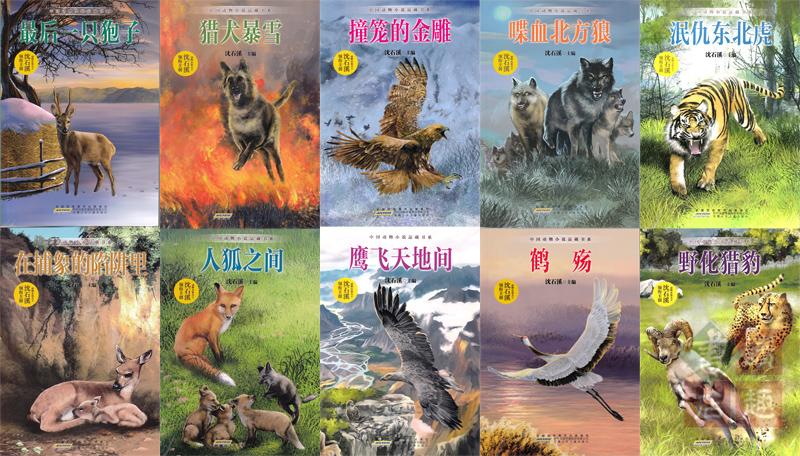 10本套装 沈石溪著鹰飞天地间 人狐之间 撞笼的金雕等 三四五六年级6