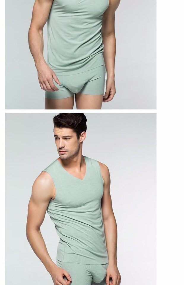 like团购网 内衣配饰 爱慕先生莫代尔男士v领无痕打底薄舒适背心上衣