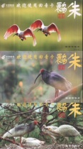 Crested Ibis postage postcards China Post Echo Card A set of 3