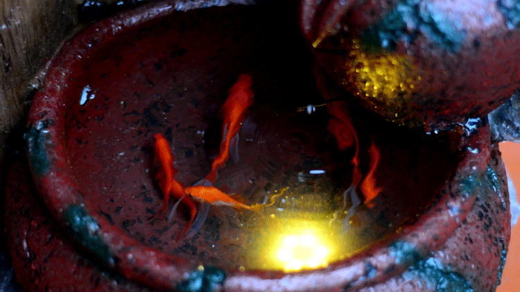 750_422 gif 动态图 动图