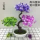 Hoa nhân tạo hoa nhựa cây xanh cây cảnh bonsai chậu cây mô phỏng hoa chào mừng cây thông nhà phòng ngủ phòng khách bộ đồ trang trí hoa - Hoa nhân tạo / Cây / Trái cây