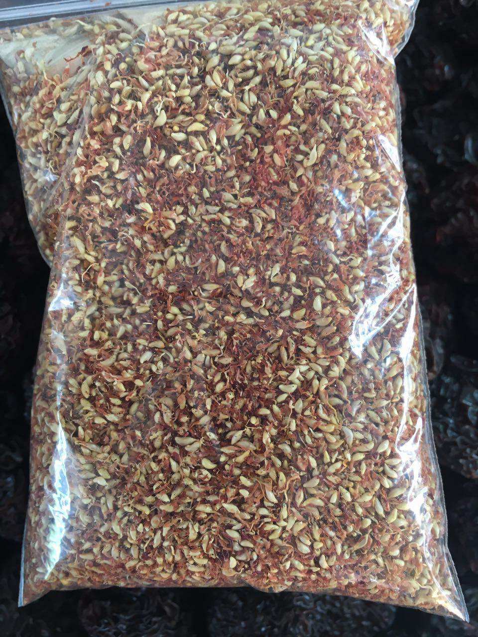 野生木莲籽木莲豆腐籽浙江诸暨特产木莲子薜荔冰粉籽250g爱玉子籽