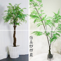 Simulation of Alsophila spinulosa fern branches landing forest plant living room landscape window Nordic style decorative green plant potted