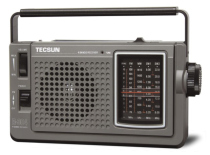 Tecsun R-304P