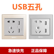 Bull switch G22 champagne gold space silver two-position USB five-hole plug-in mobile phone rapid fast charging intelligent shunt UPBS