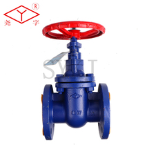 Broad valve cast iron flange dark Rod wedge gate valve SZ45T W-10 16 DN40-800