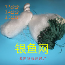 Silver Fish Mesh Rope Bag Pendant Small Silver Fish 2 m to 5 m High Monolayer Noodle Fish Sink Nets add to the sinking net floating net