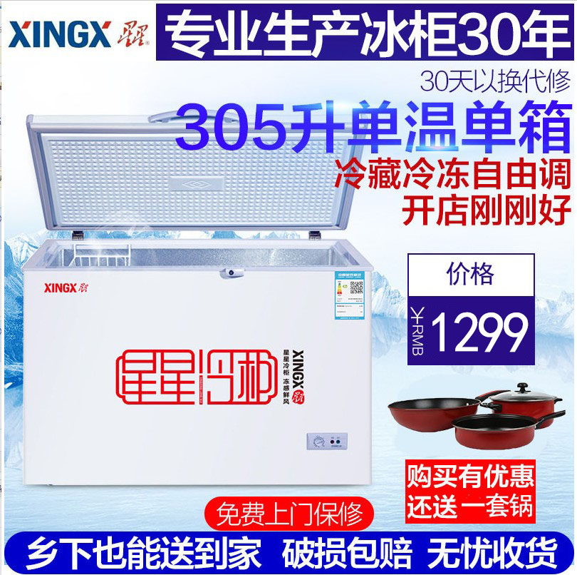 XINGX-星星 BD-BC-305E星星冰柜商用大容量冷柜保鲜冷藏冷冻柜