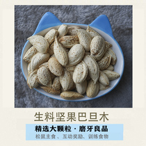 Squirrel grain raw almond thin shell Batan wood food demon king golden flower molars snack