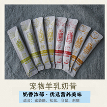 Hedgehog hamster squirrel hudgehog hamster squirrel flower bud snack goat milk vegetable fruit shake food interaction